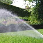 blog; tuin in maart (3)